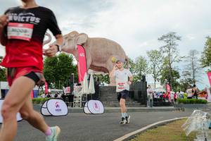 BIB: 
                            <button type="button" onclick="openModal(26528452)" class="btn btn-primary btn-sm float-right btn-popup" data-toggle="modal" data-target=".modal-high-quality">
                        <i class="fas fa-shopping-cart"></i> Add to Cart
                    </button>
                                            <button type="button" onclick="isThisMe(26528452, true)" class="btn btn-success btn-sm float-right btn-popup btn-isme hidden" data-toggle="tooltip" data-placement="bottom" title="นี่คือรูปของคุณใช่ไหม คลิกที่นี่เพื่อเอาเข้าอัลบั้ม">
                        <i class="fas fa-plus"></i> Add to album
                    </button>
                    <button type="button" onclick="isThisMe(26528452, false)" class="btn btn-warning btn-sm float-right btn-popup btn-isnotme hidden">
                        <i class="fas fa-ban"></i> Remove from album
                    </button>